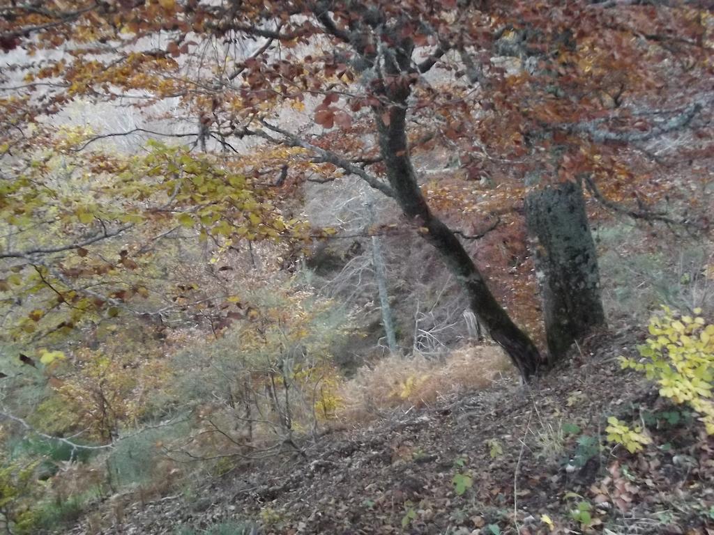 Montana Palentina 호텔 과르도 외부 사진